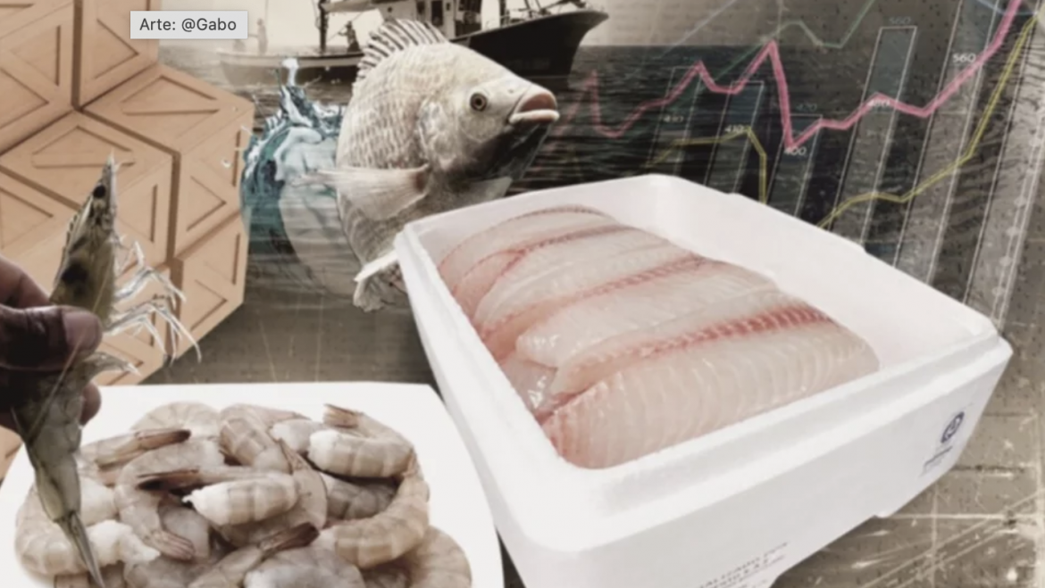 Tilapia y camarón, dos tesoros económicos de Latinoamérica
